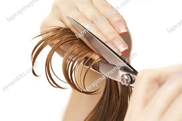 Cần cắt tỉa tóc thường xuyên để mái tóc luôn tràn đầy sức sống