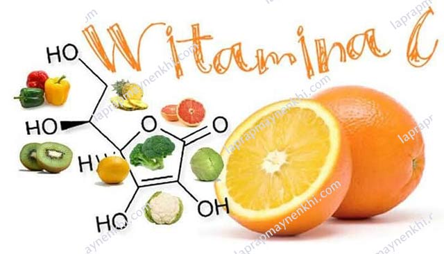 Vitamin C đóng vai trò cần thiết và quan trọng cho cơ thể sống mỗi người