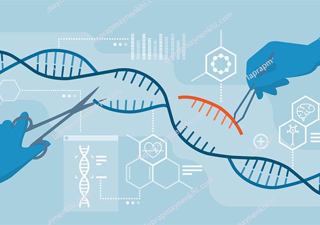 Các loại biến dị di truyền trong chọn giống là gì