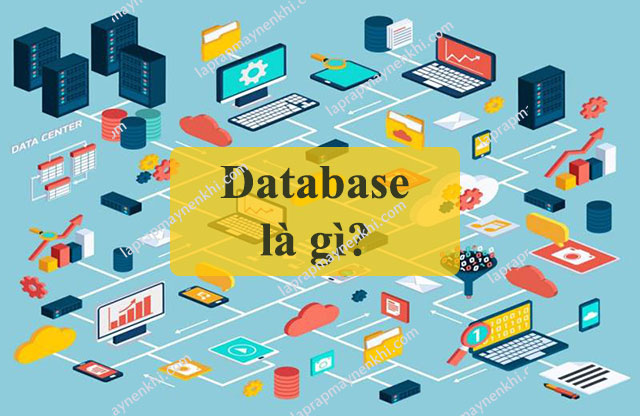 Cơ sở dữ liệu database là gì