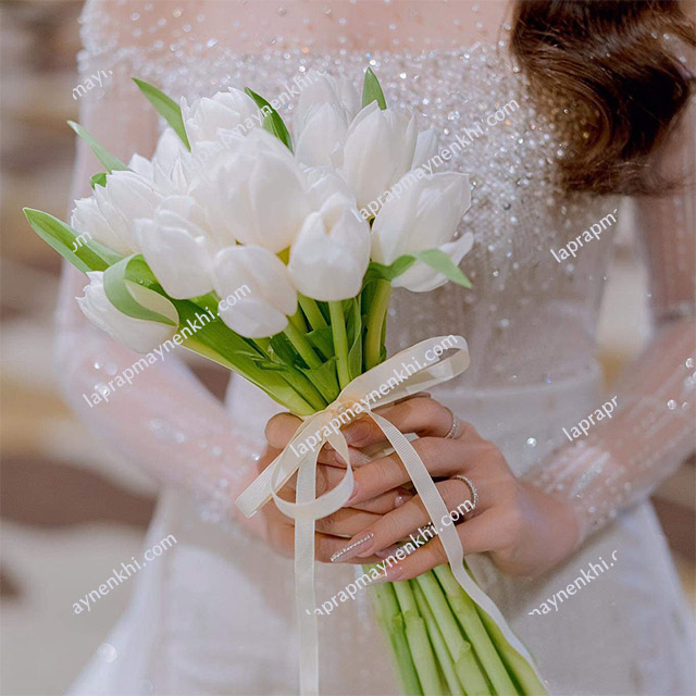 Hoa cưới cô dâu hoa tulip